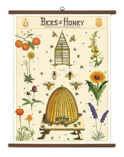  Bees & Honey  School Chart