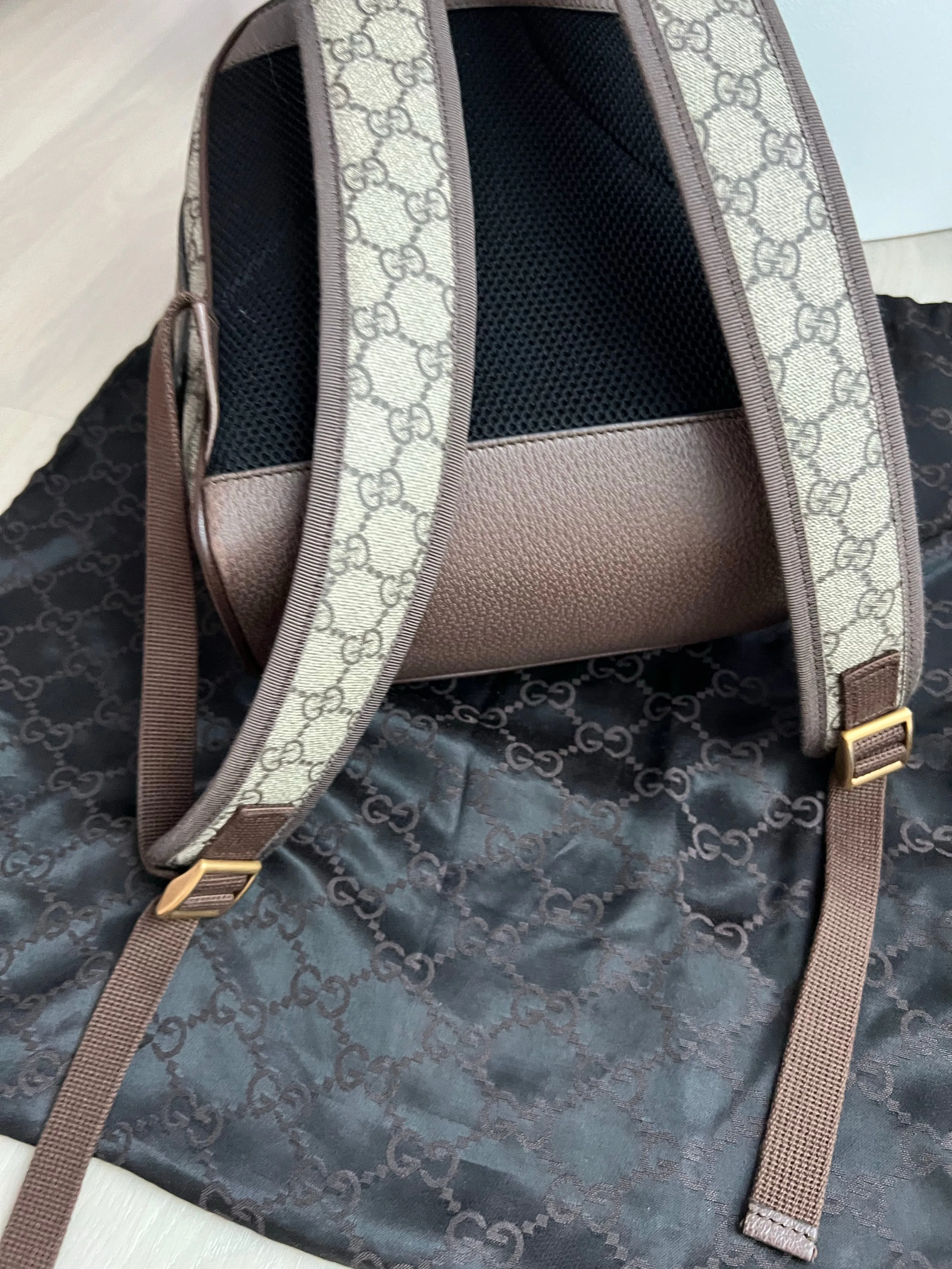 Gucci Ophidia Backpack