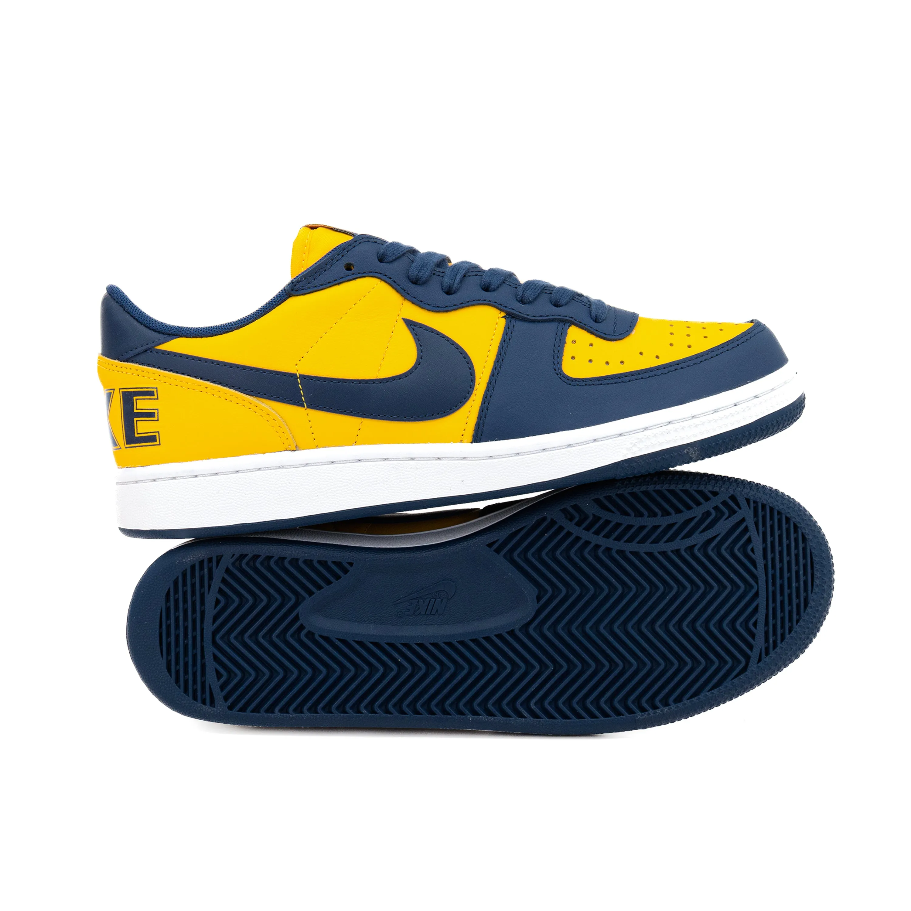 Nike Terminator Low OG "Michigan"  FJ4206-700