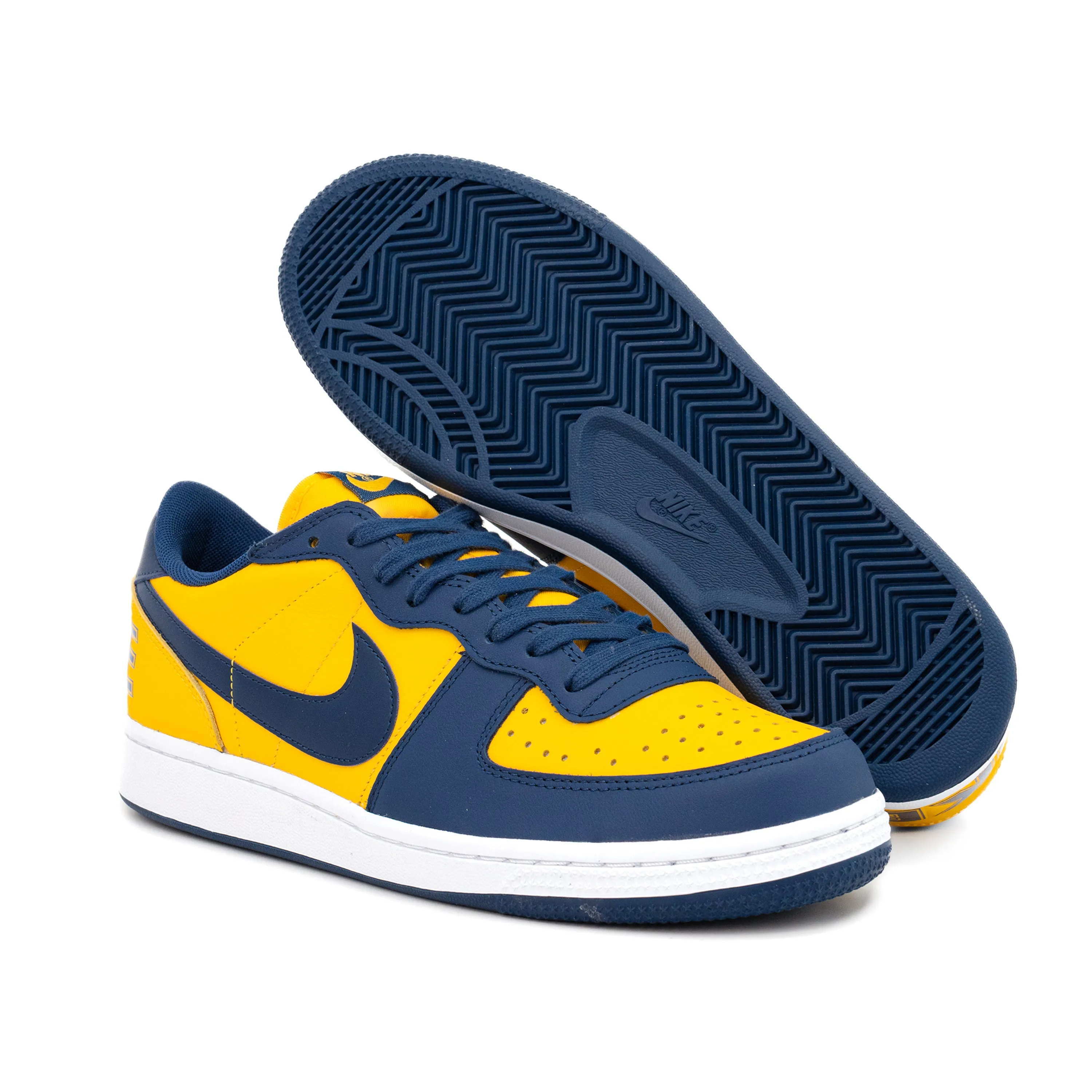 Nike Terminator Low OG "Michigan"  FJ4206-700