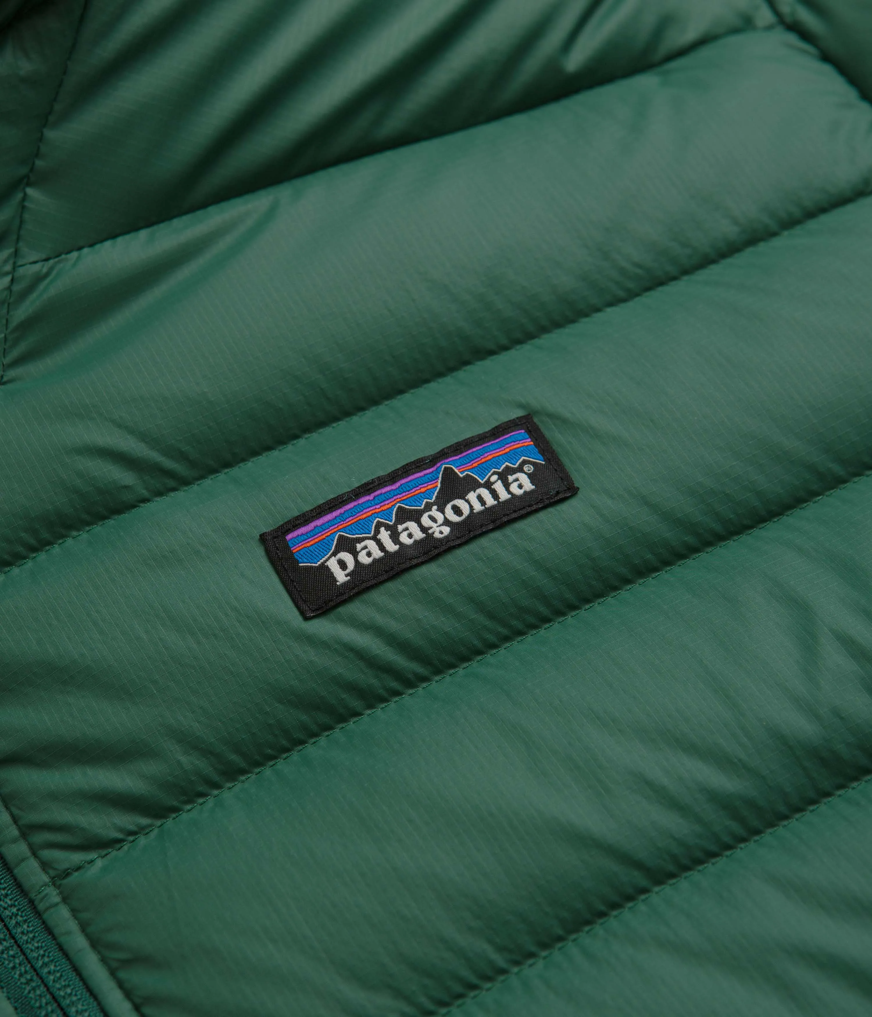 Patagonia Down Sweater Hooded Jacket (NetPlus) - Conifer Green